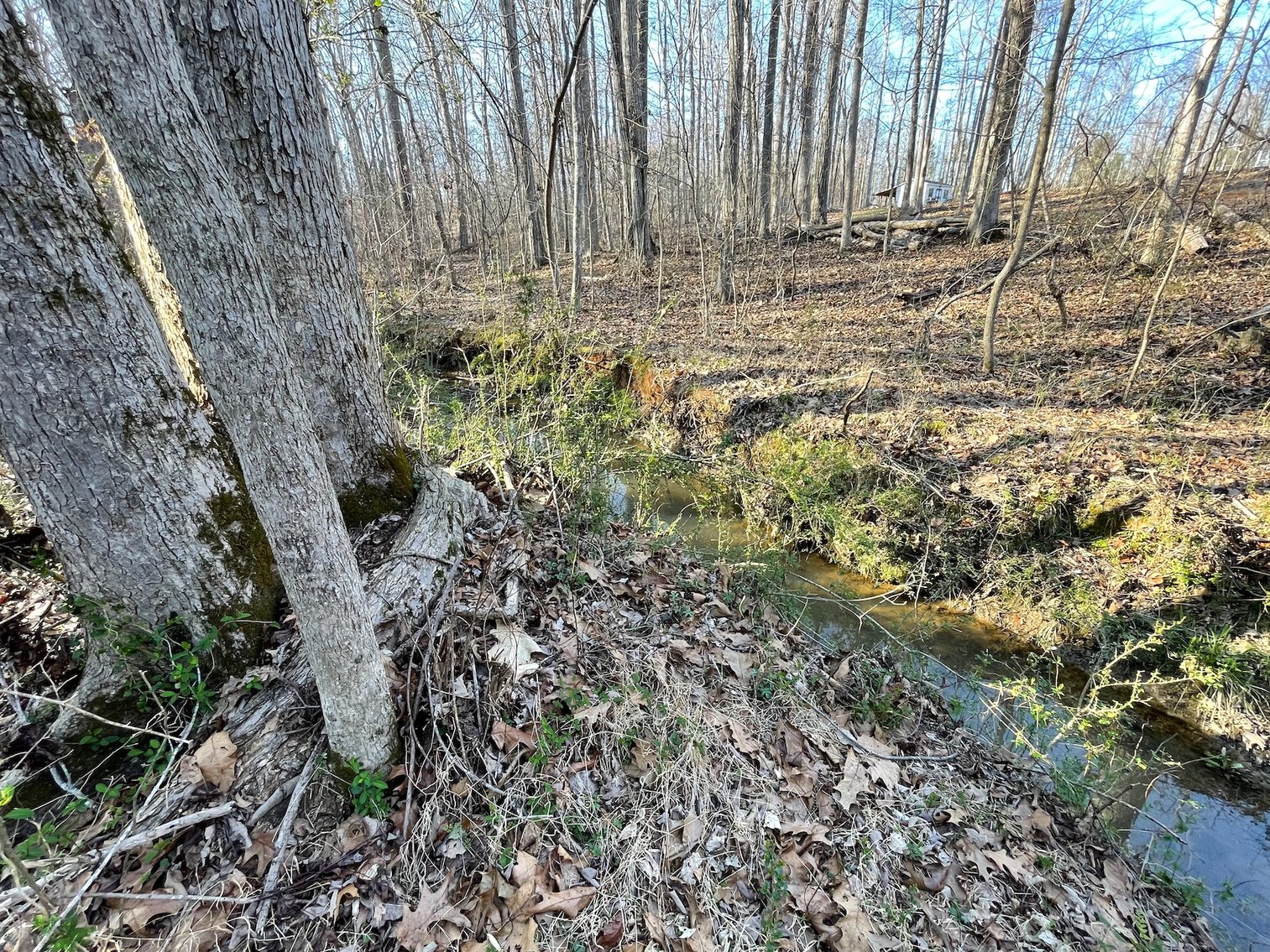 Charming Pleasant Garden Home on Spacious Lot with Large Shop