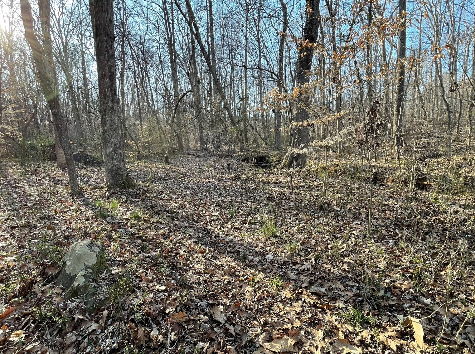 Charming Pleasant Garden Home on Spacious Lot with Large Shop