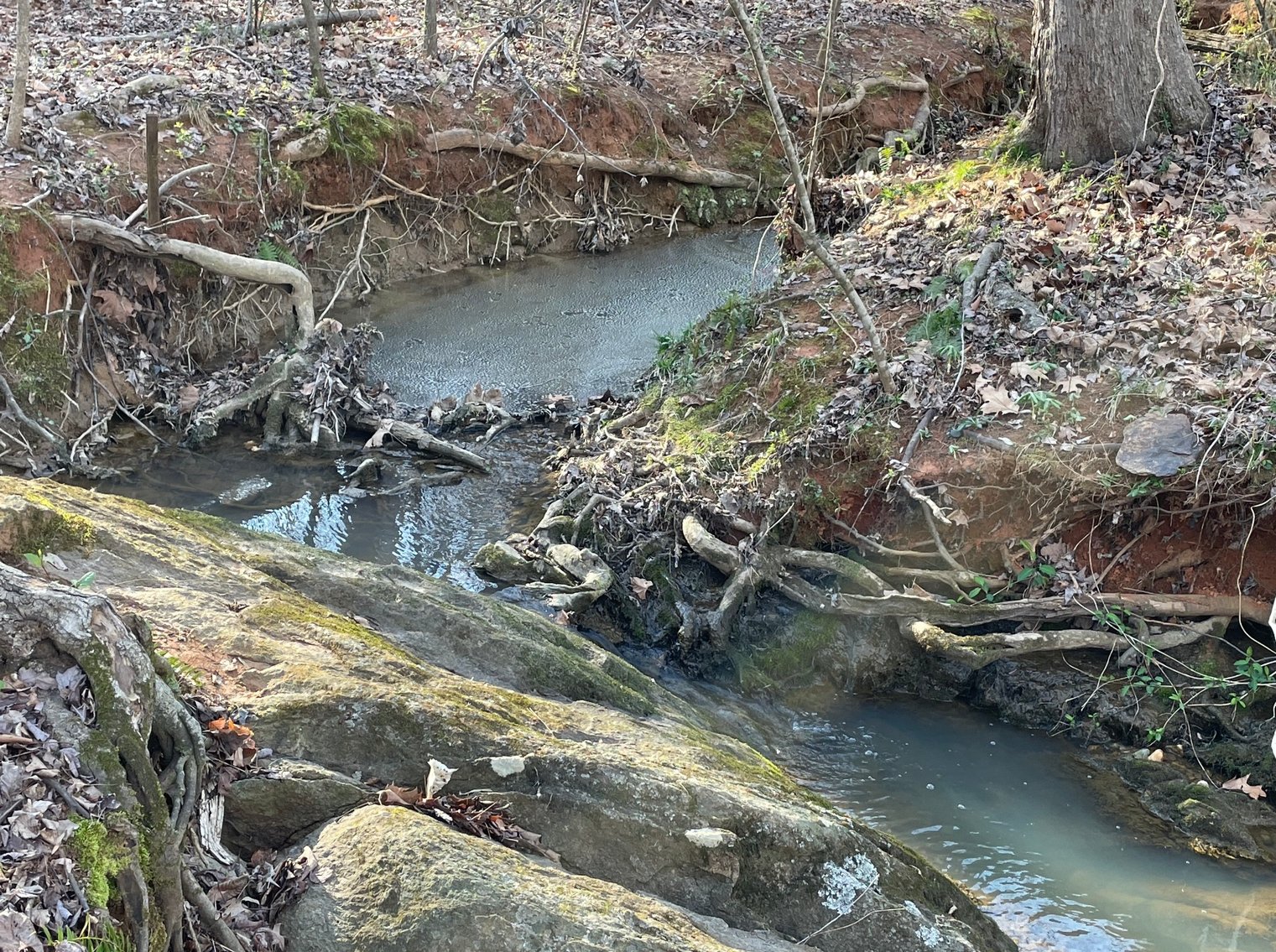 Charming Pleasant Garden Home on Spacious Lot with Large Shop