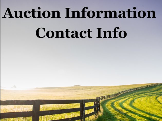 Image for Online Antique Auction at Old Payne & Sons Mercantile