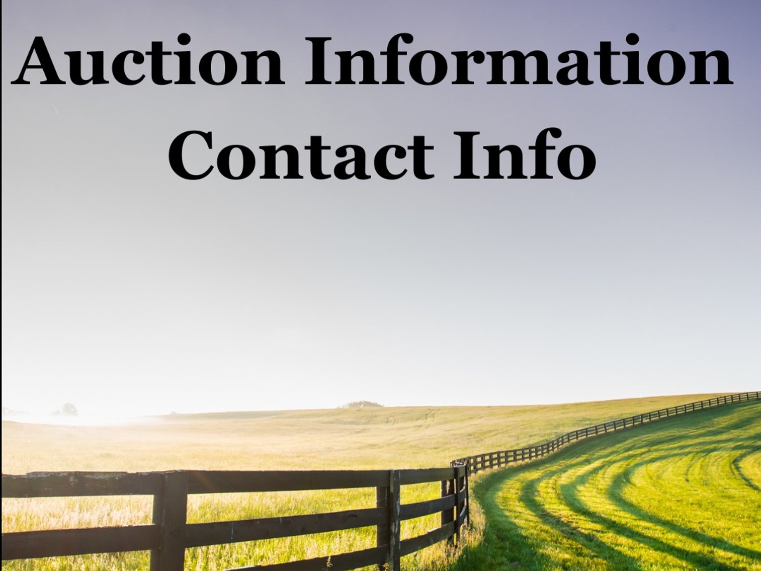 Online Antique Auction at Old Payne & Sons Mercantile