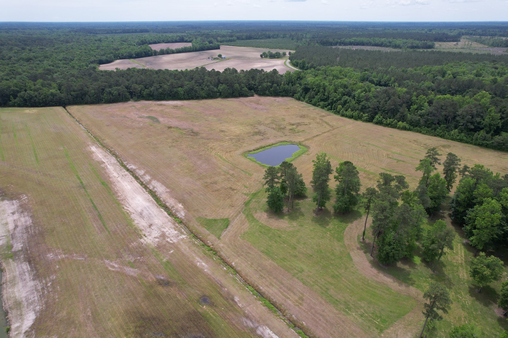 98.78+/- Acres in Kenansville, NC