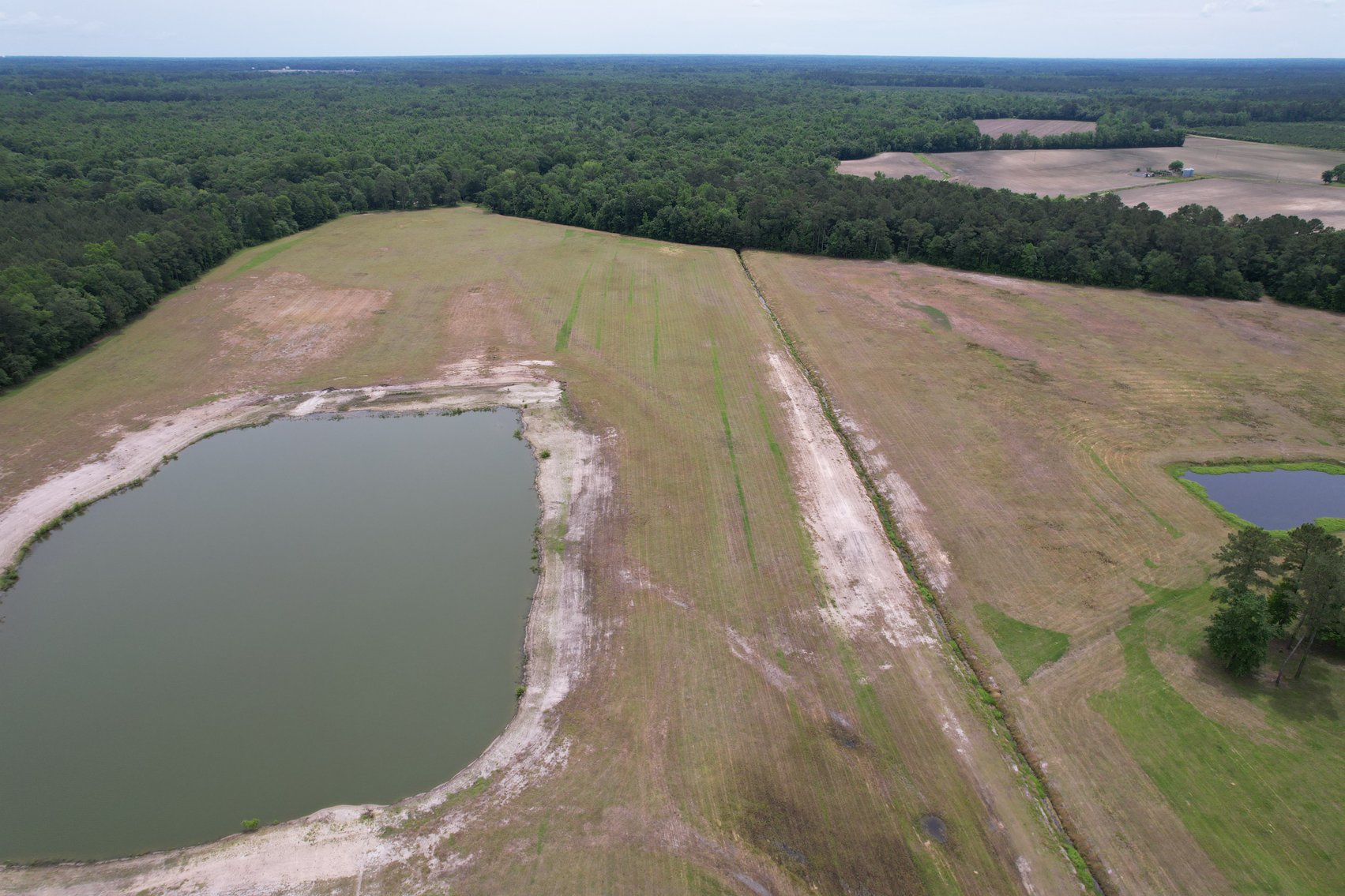 98.78+/- Acres in Kenansville, NC