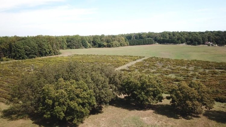 Image for 107 Acres -East Rowan County Acreage.