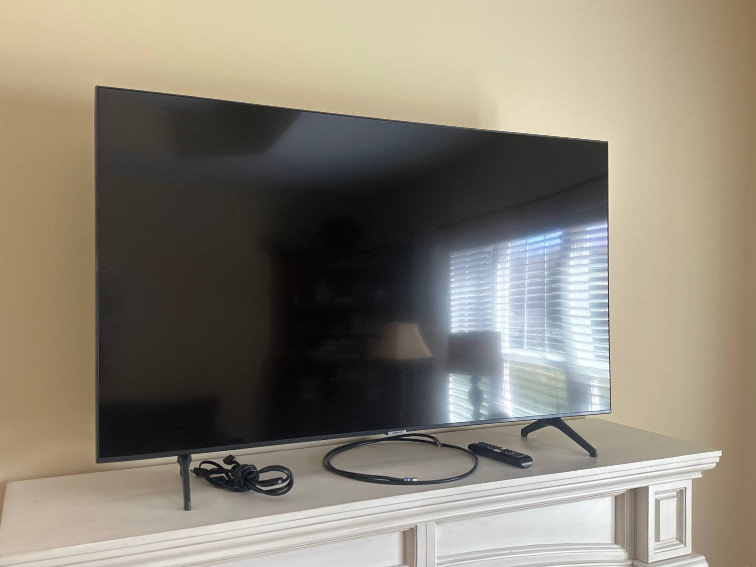 River Birch Downsizer - Salisbury