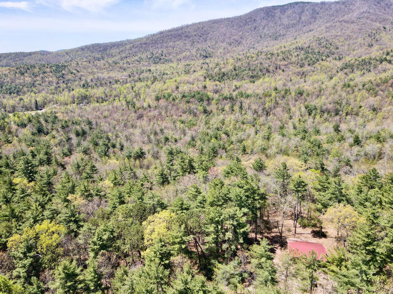 Secluded Wilkes County, NC Cabin