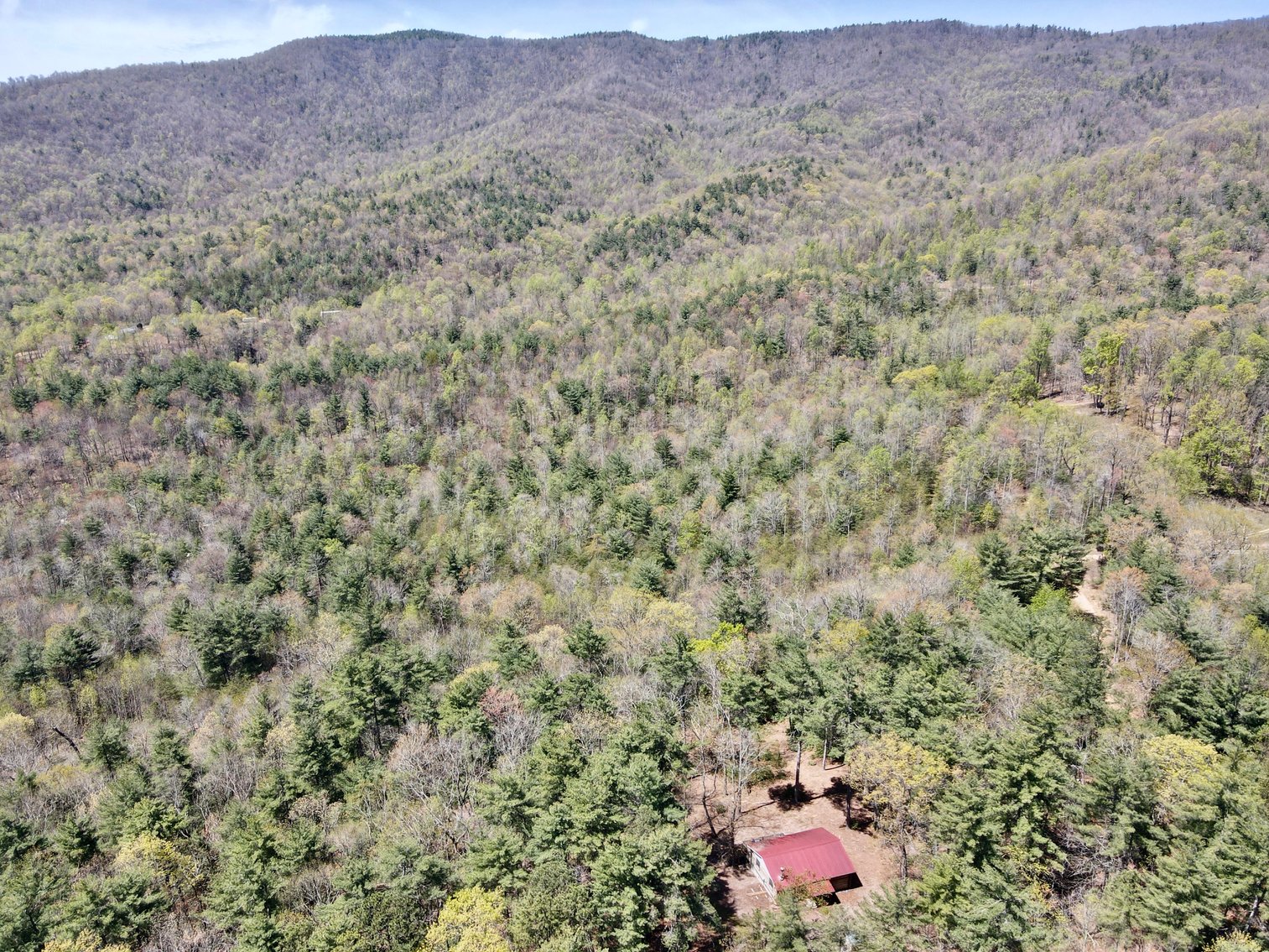 Secluded Wilkes County, NC Cabin