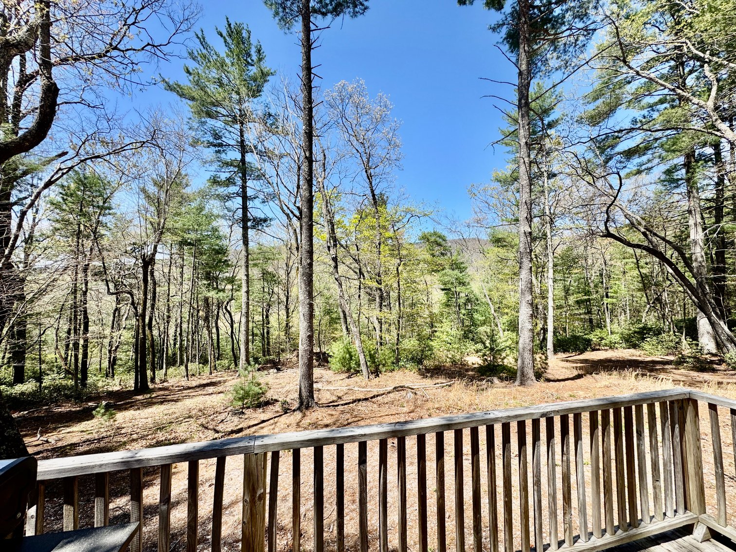 Secluded Wilkes County, NC Cabin