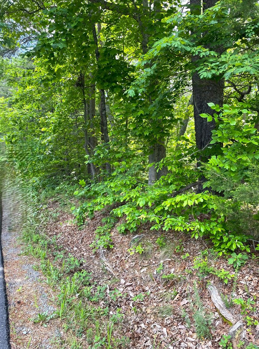 Image for Lot 6 Dearborn Rd,  Evington, VA  24550