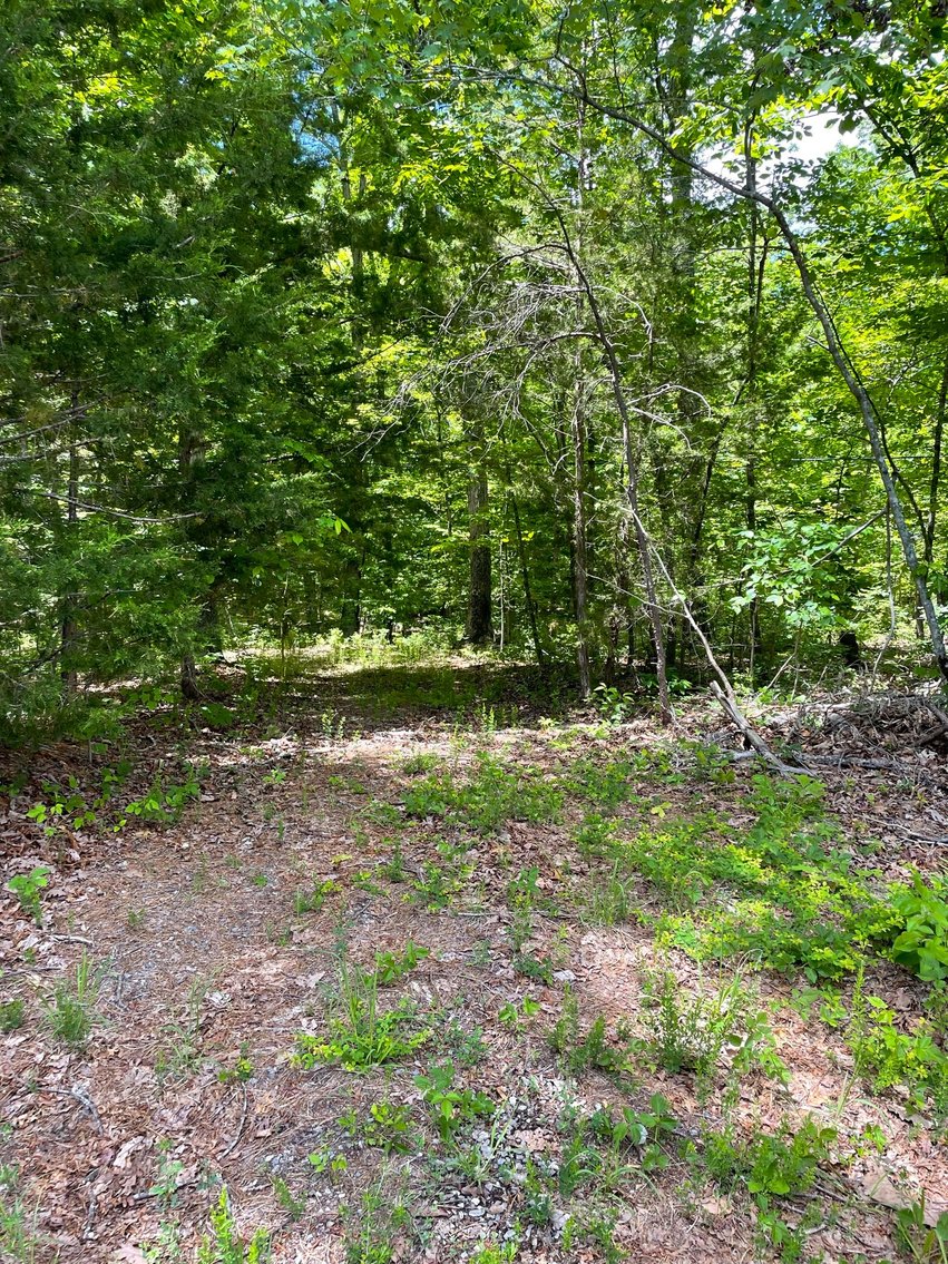 Image for Lot 6 Dearborn Rd,  Evington, VA  24550
