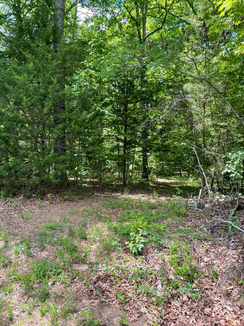 Image for Lot 6 Dearborn Rd,  Evington, VA  24550
