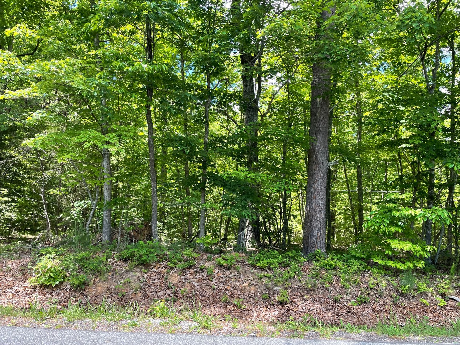Image for Lot 6 Dearborn Rd,  Evington, VA  24550