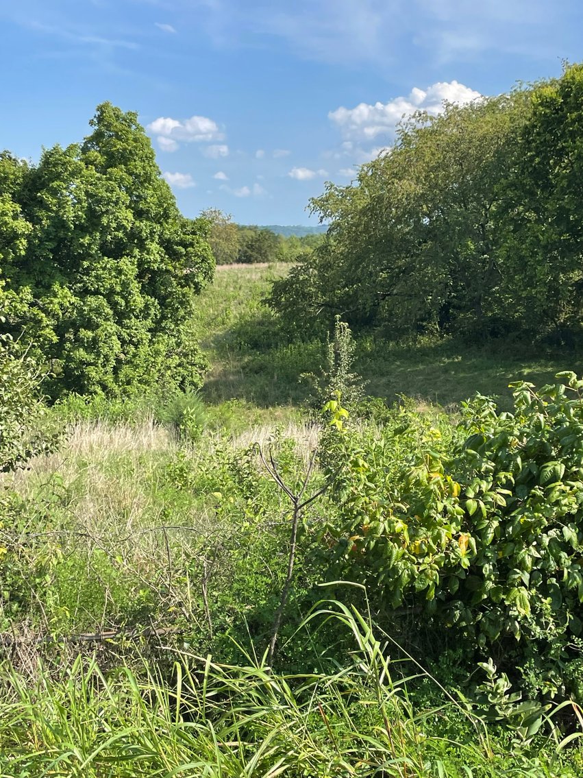 Image for 2685 Dearing Ford Rd, Altavista, VA 24517