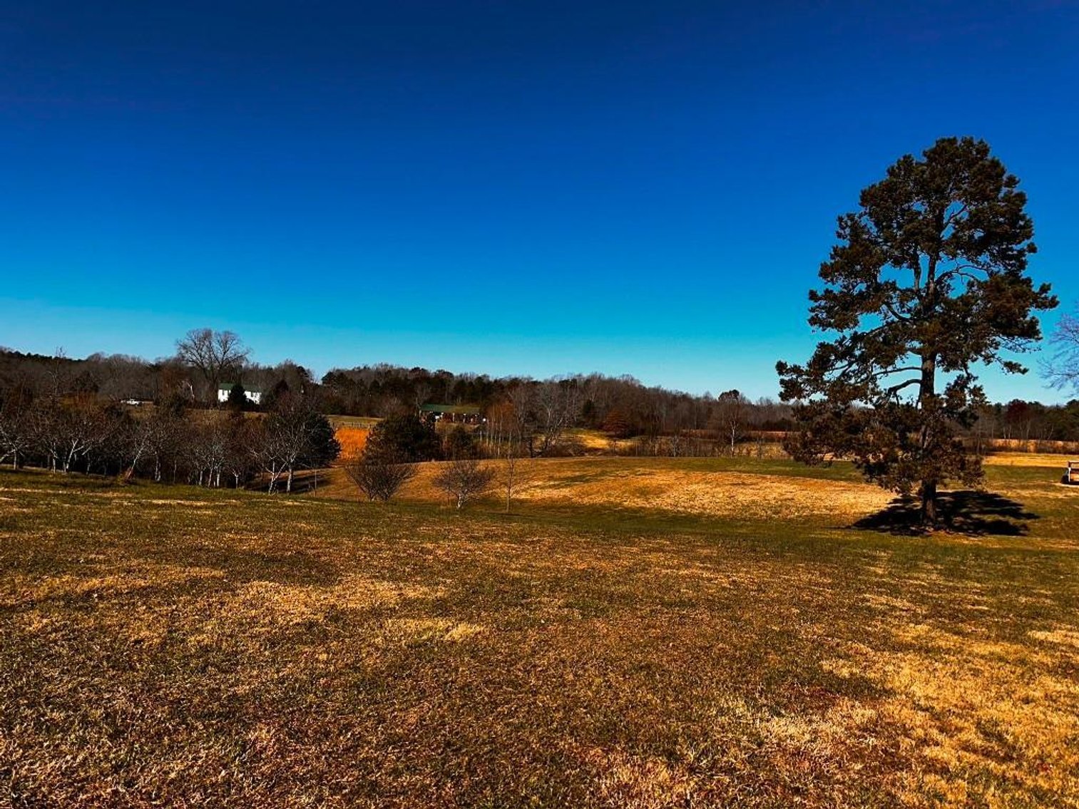 Image for **UNDER CONTRACT** House on 25 Acres Appomattox Va 3 Buildings with Pond