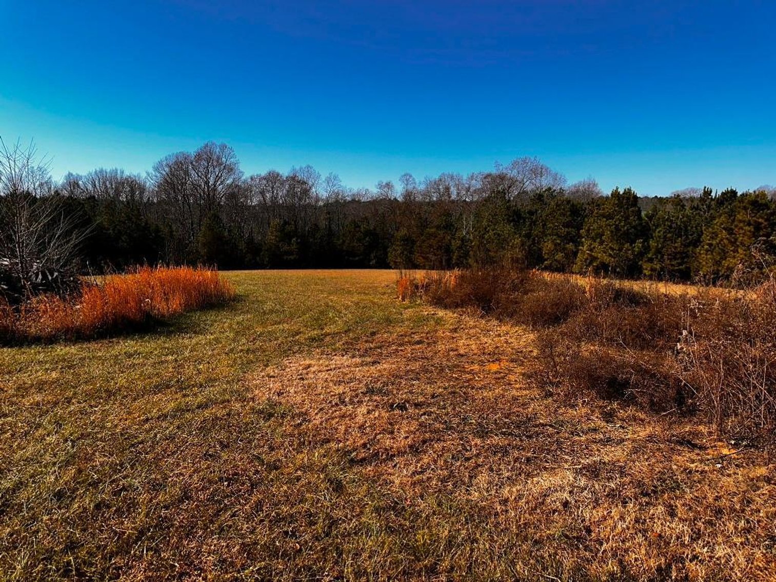 Image for **UNDER CONTRACT** House on 25 Acres Appomattox Va 3 Buildings with Pond