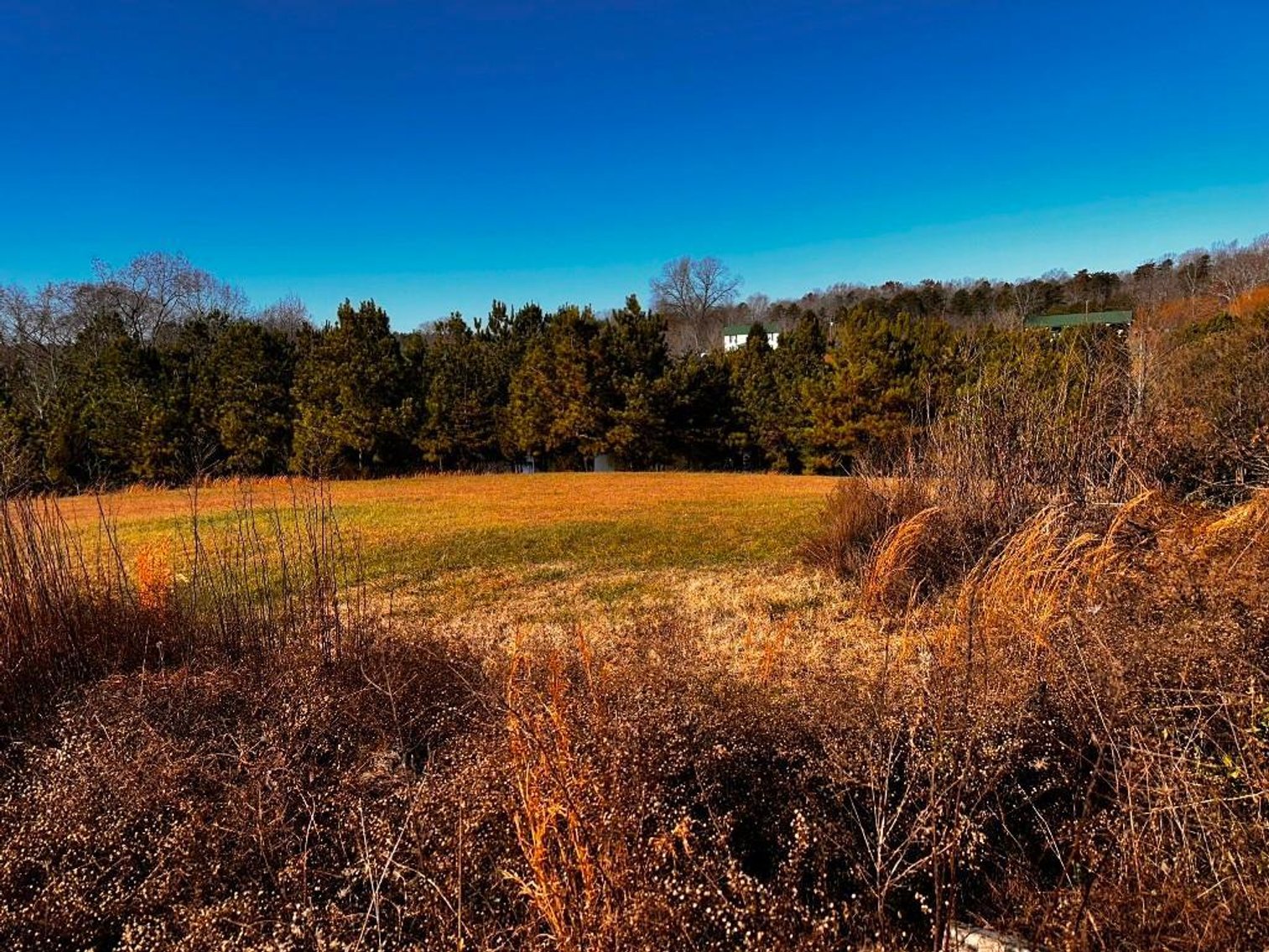 Image for **UNDER CONTRACT** House on 25 Acres Appomattox Va 3 Buildings with Pond