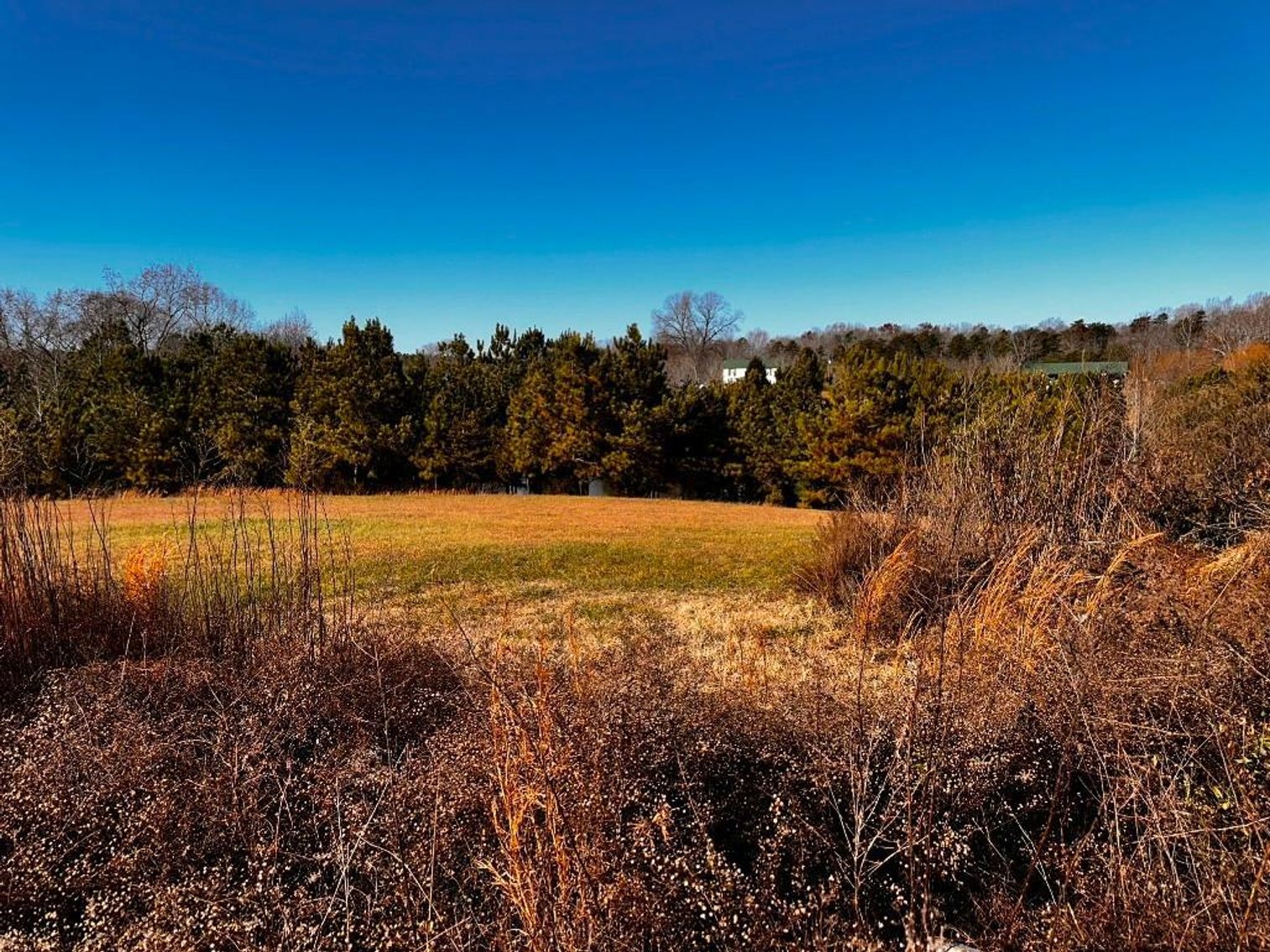 Image for **UNDER CONTRACT** House on 25 Acres Appomattox Va 3 Buildings with Pond