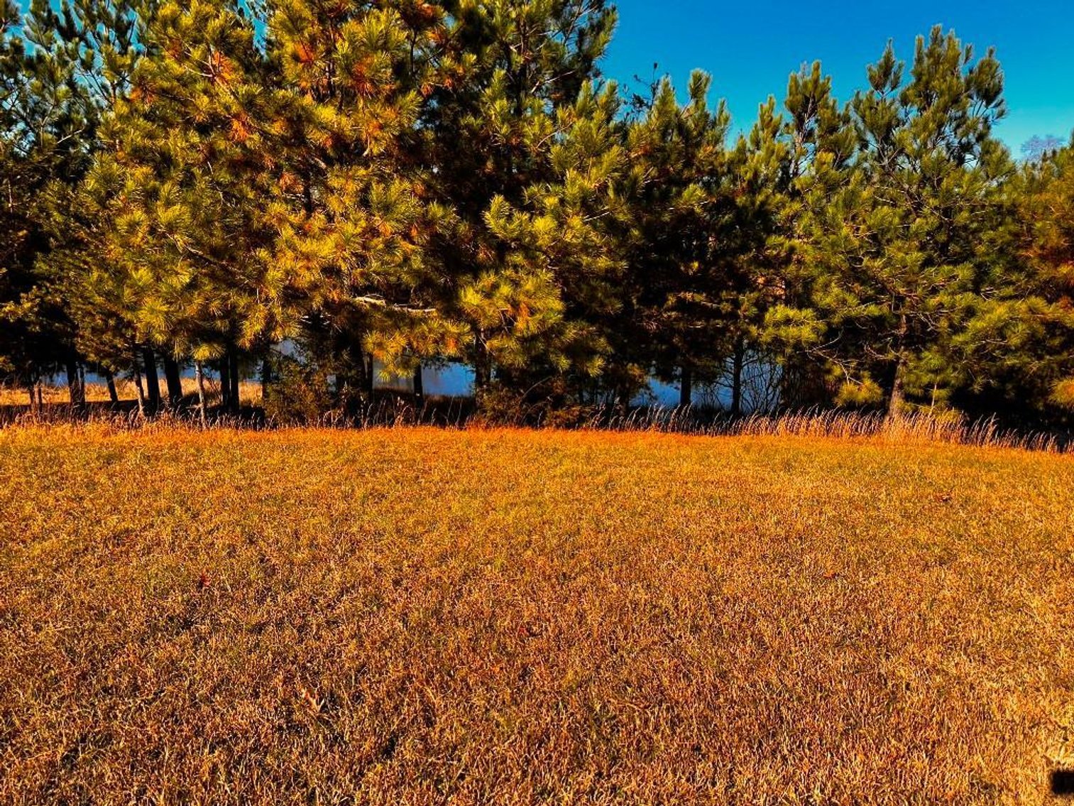 Image for **UNDER CONTRACT** House on 25 Acres Appomattox Va 3 Buildings with Pond