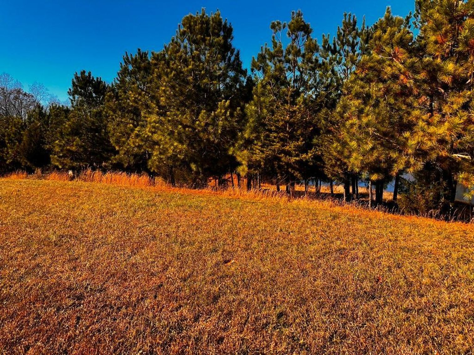 Image for **UNDER CONTRACT** House on 25 Acres Appomattox Va 3 Buildings with Pond