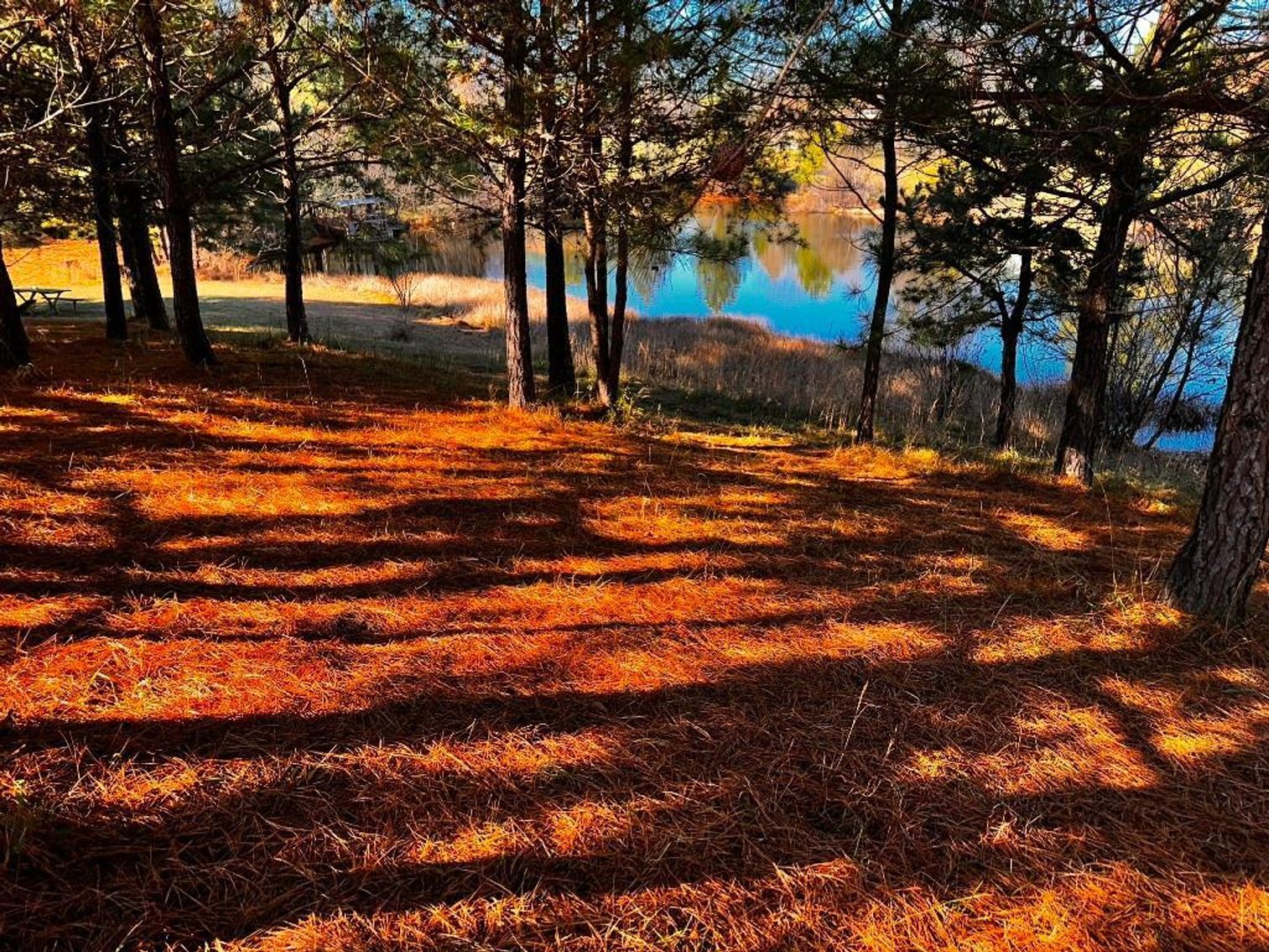 Image for **UNDER CONTRACT** House on 25 Acres Appomattox Va 3 Buildings with Pond