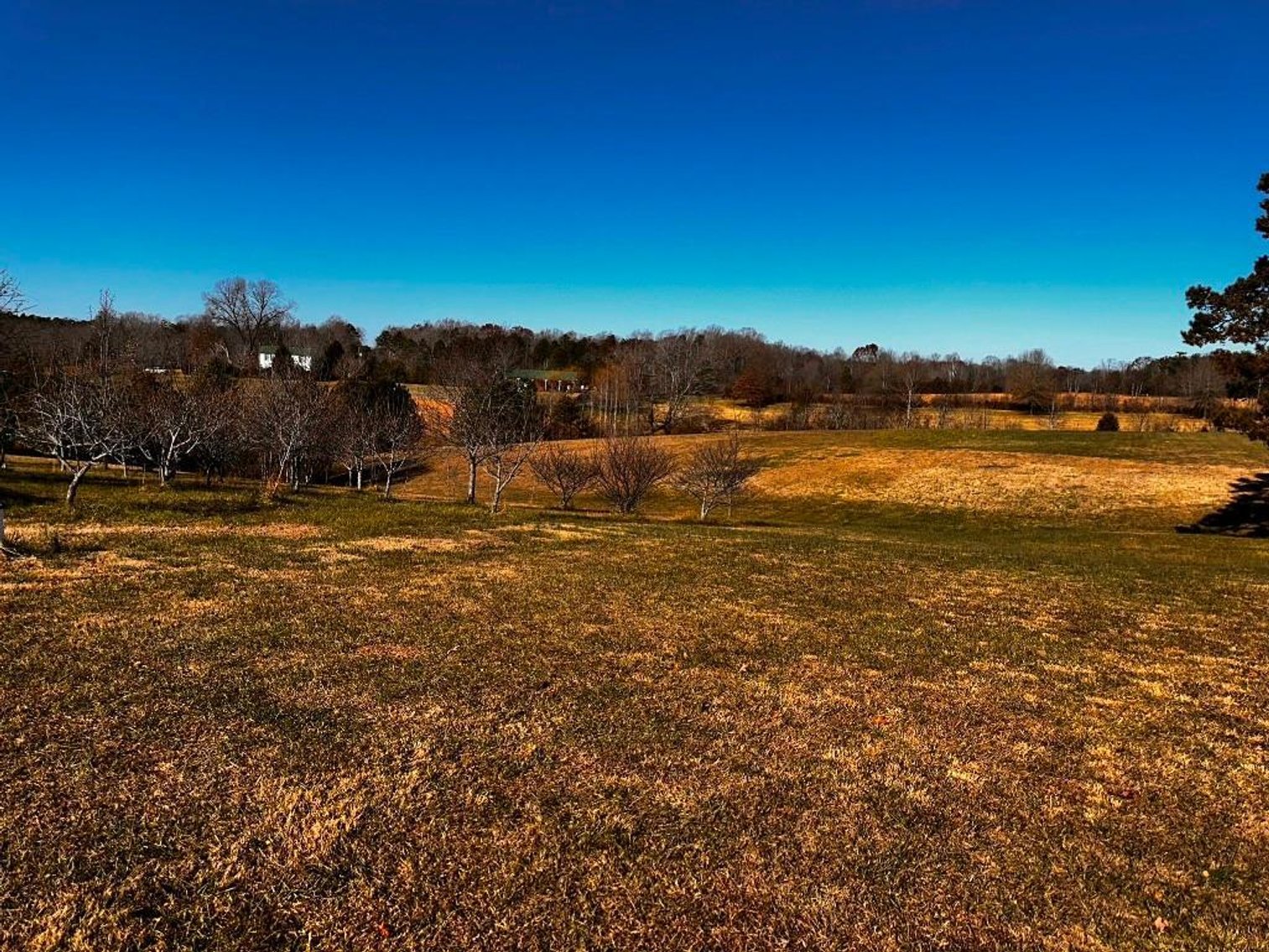 Image for **UNDER CONTRACT** House on 25 Acres Appomattox Va 3 Buildings with Pond