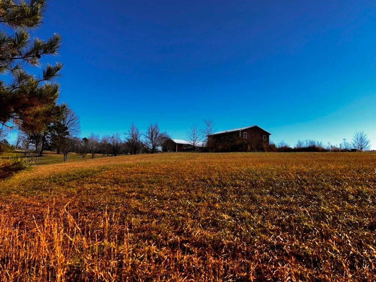 Image for **UNDER CONTRACT** House on 25 Acres Appomattox Va 3 Buildings with Pond