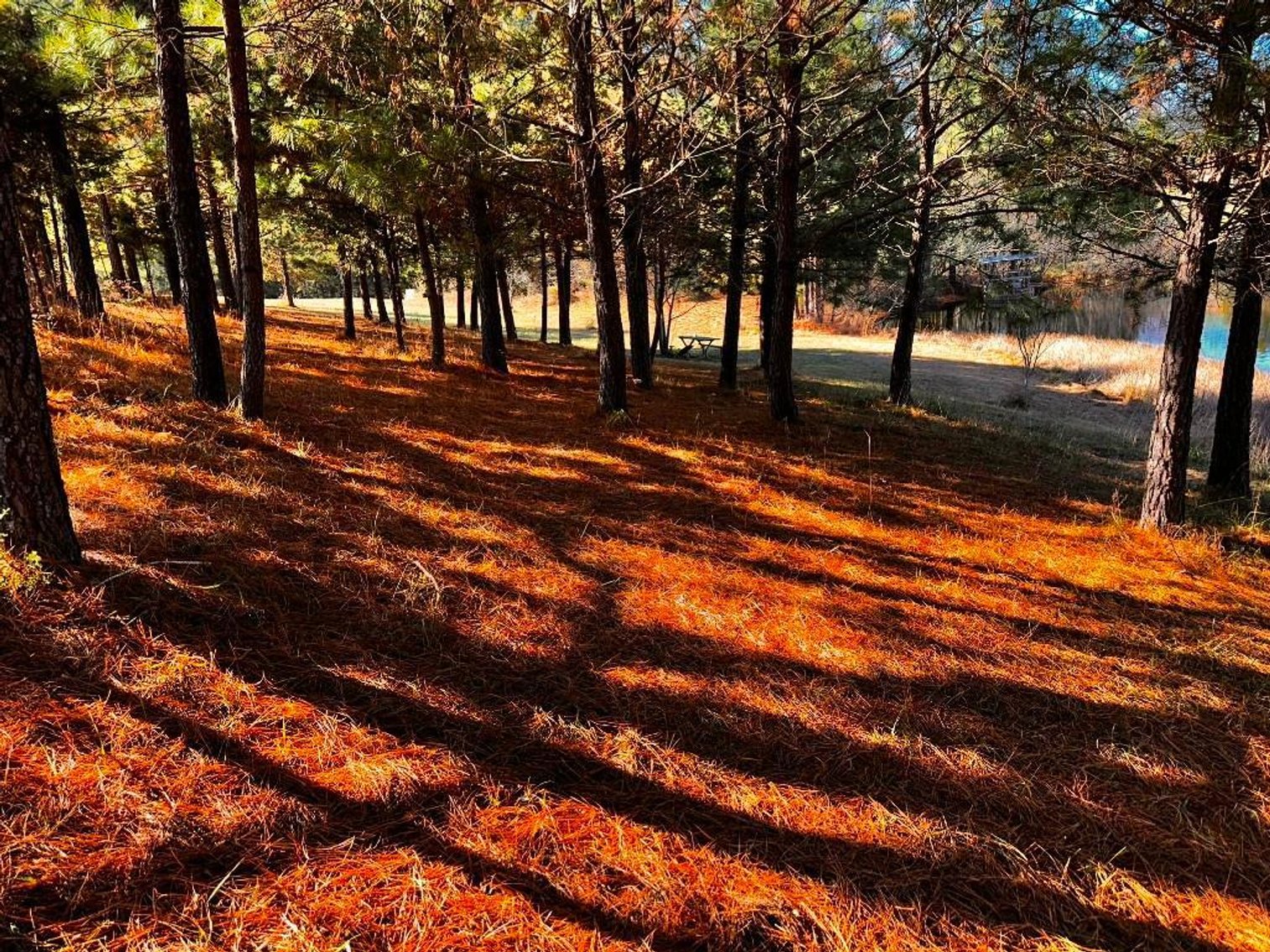 Image for **UNDER CONTRACT** House on 25 Acres Appomattox Va 3 Buildings with Pond