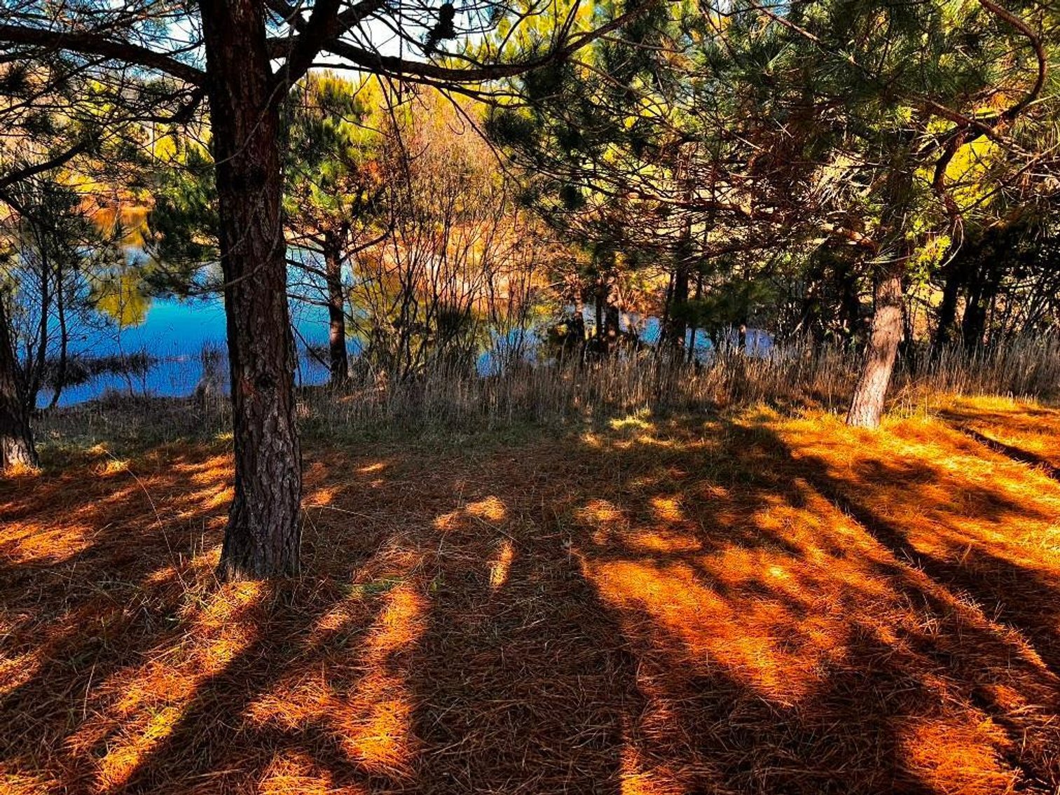 Image for **UNDER CONTRACT** House on 25 Acres Appomattox Va 3 Buildings with Pond