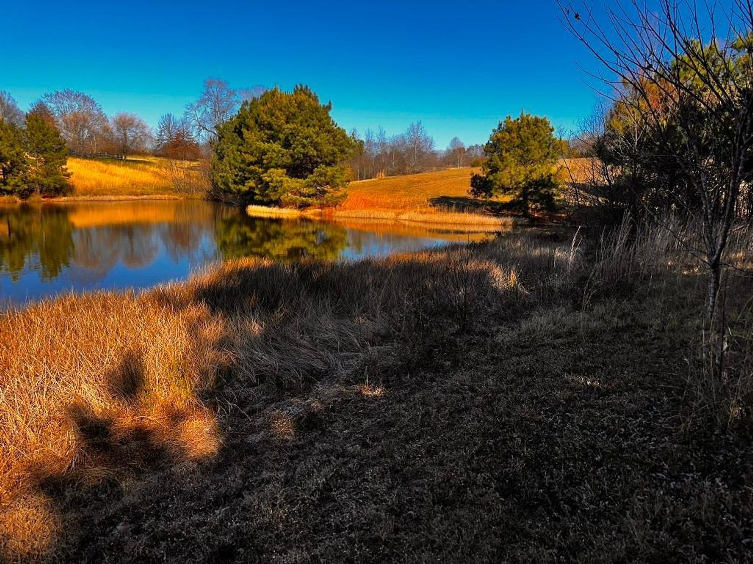 Image for **UNDER CONTRACT** House on 25 Acres Appomattox Va 3 Buildings with Pond