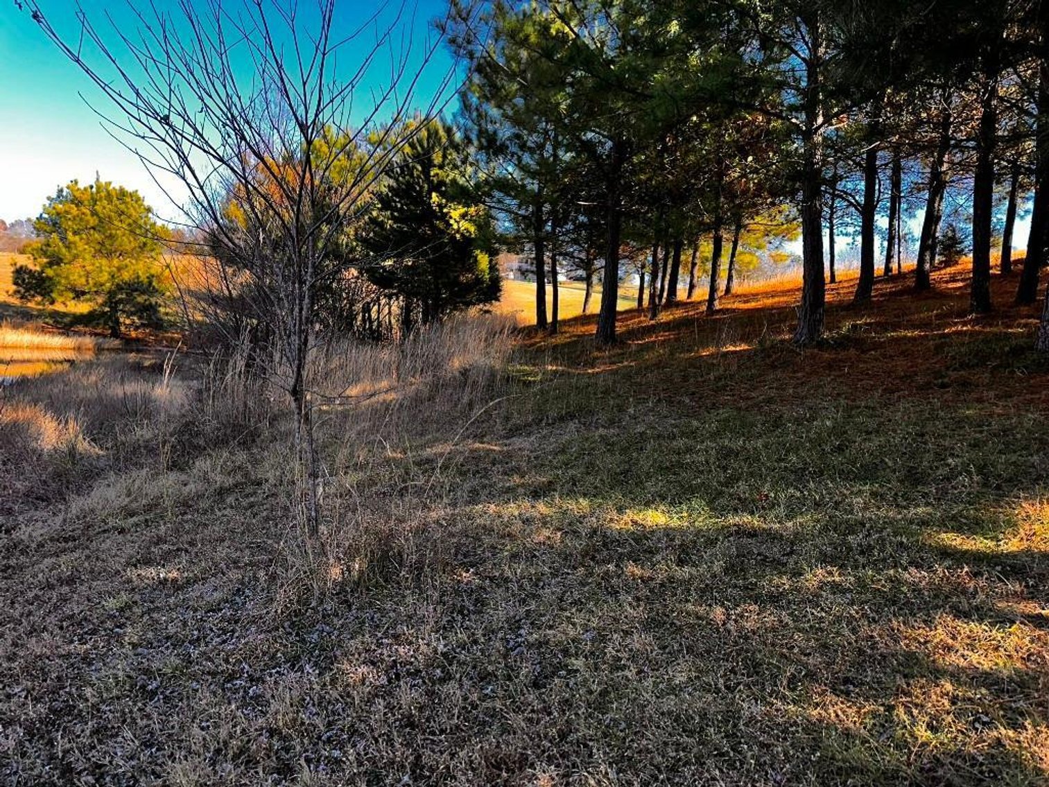 Image for **UNDER CONTRACT** House on 25 Acres Appomattox Va 3 Buildings with Pond