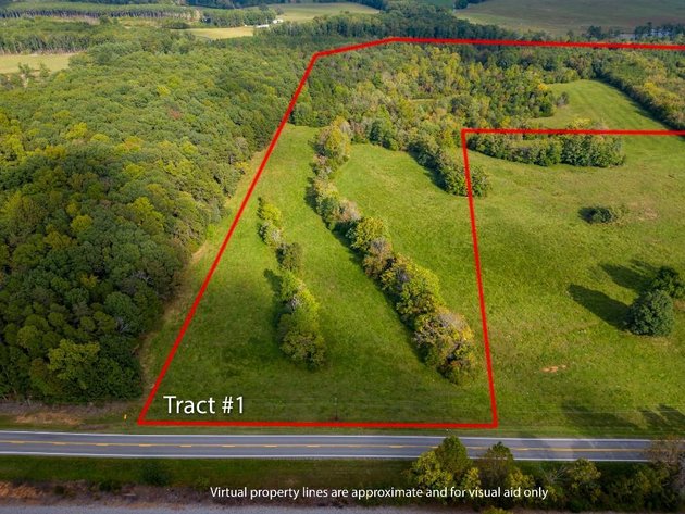 Image for 131 +/- Ac Offered in Multiple Tracts