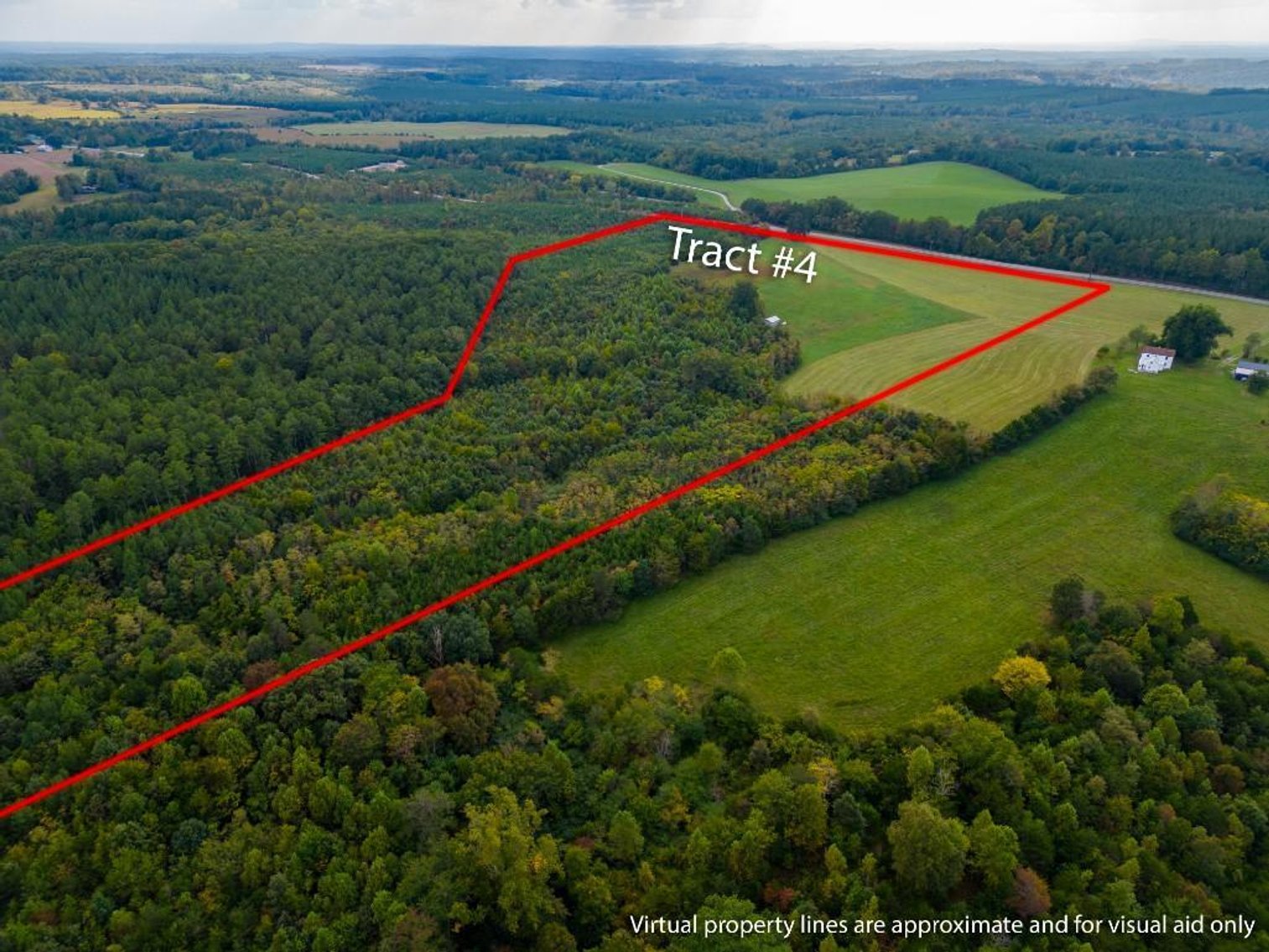 Image for 131 +/- Ac Offered in Multiple Tracts