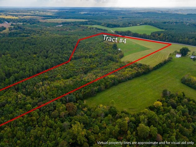Image for 131 +/- Ac Offered in Multiple Tracts