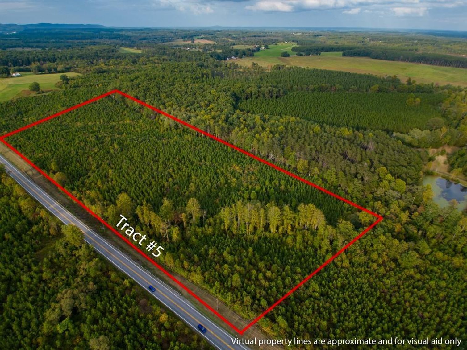Image for 131 +/- Ac Offered in Multiple Tracts