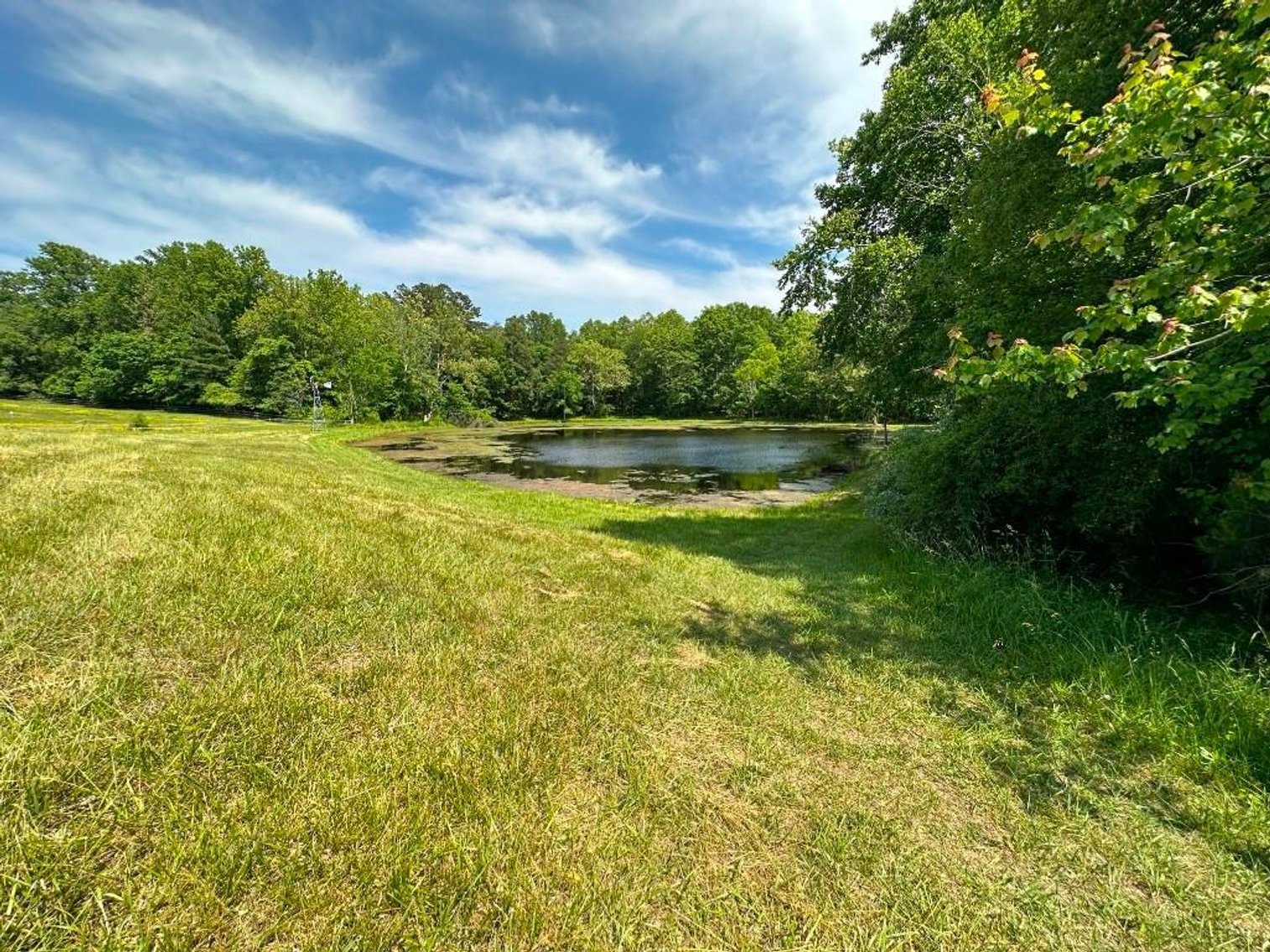 Image for Bonterra Horse Farms Real Estate  Liquidation