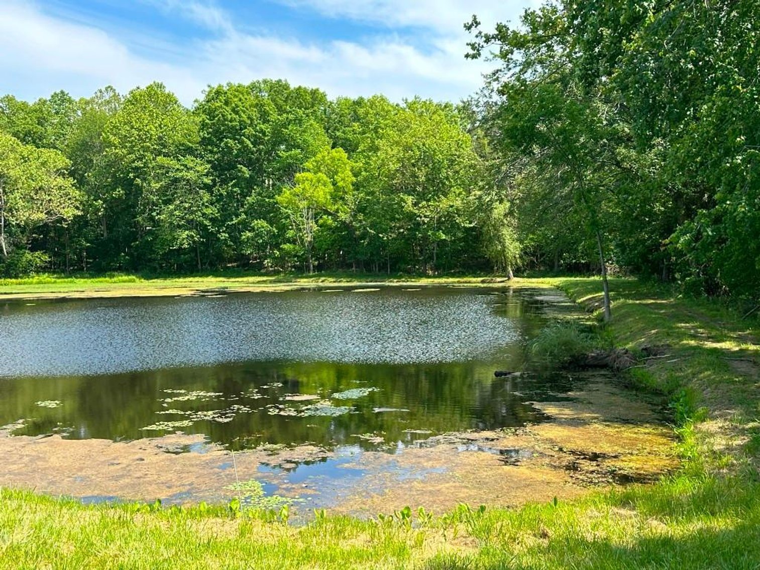 Image for Bonterra Horse Farms Real Estate  Liquidation