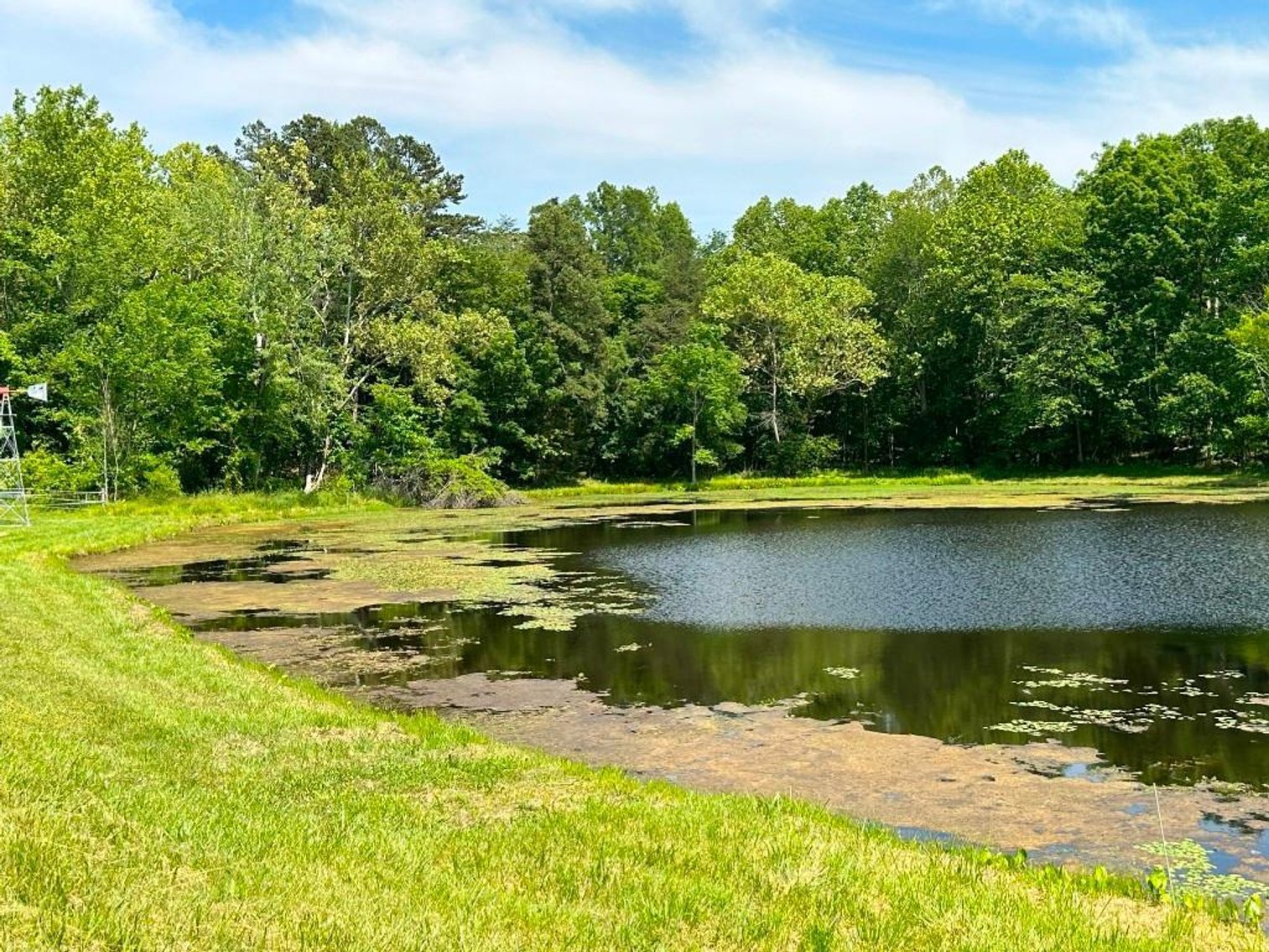 Image for Bonterra Horse Farms Real Estate  Liquidation