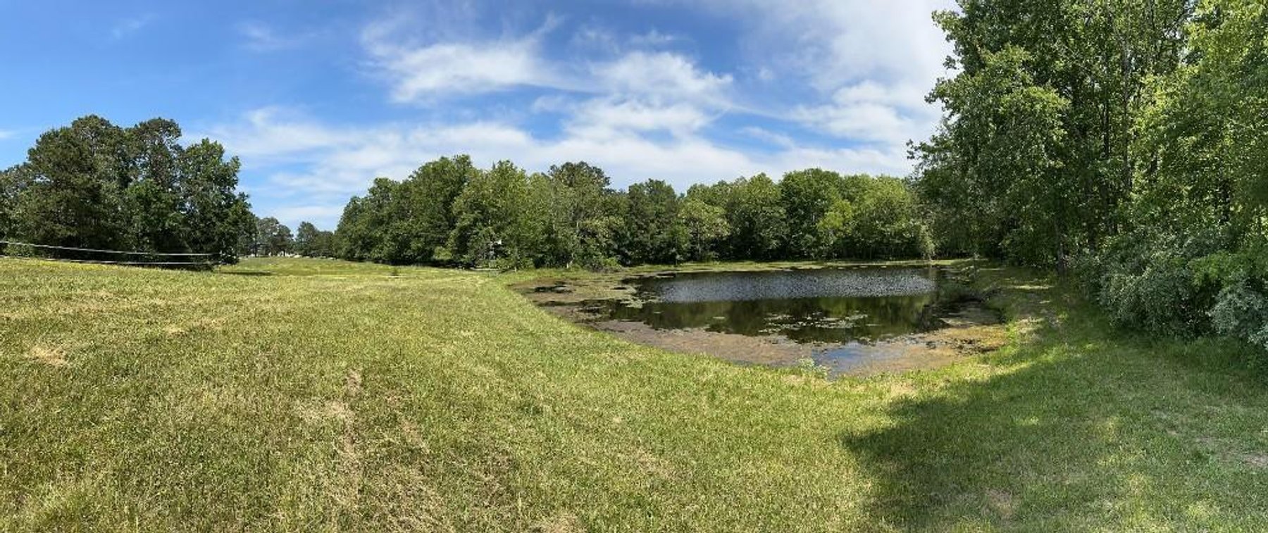 Image for Bonterra Horse Farms Real Estate  Liquidation