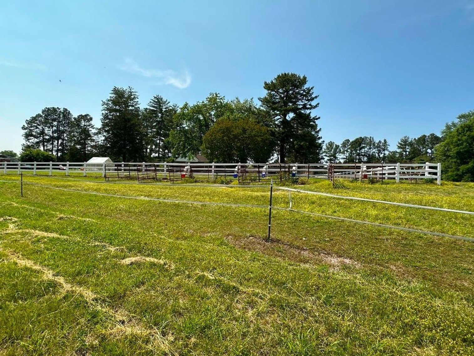 Image for Bonterra Horse Farms Real Estate  Liquidation