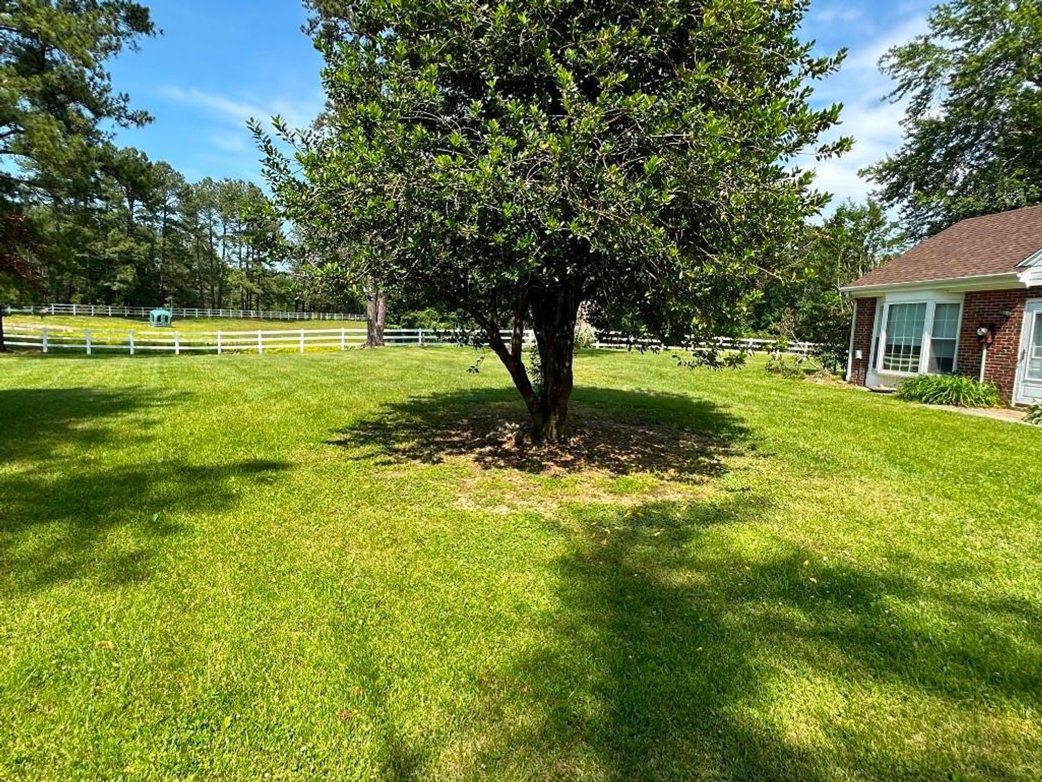 Image for Bonterra Horse Farms Real Estate  Liquidation