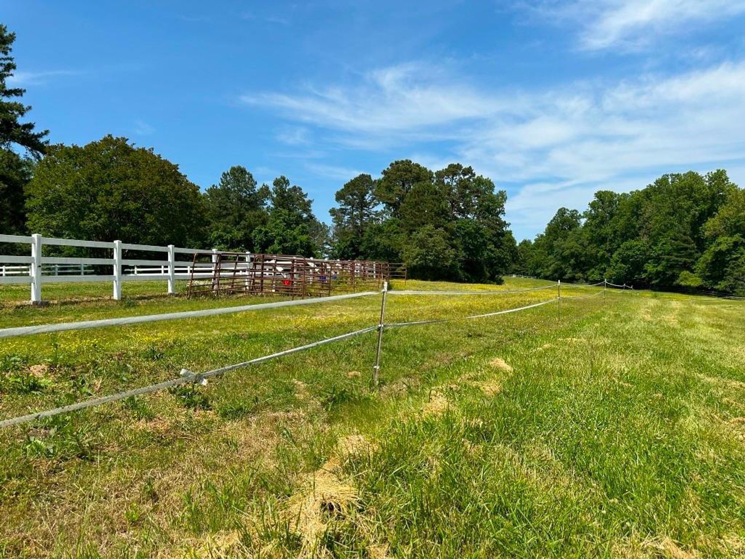 Image for Bonterra Horse Farms Real Estate  Liquidation