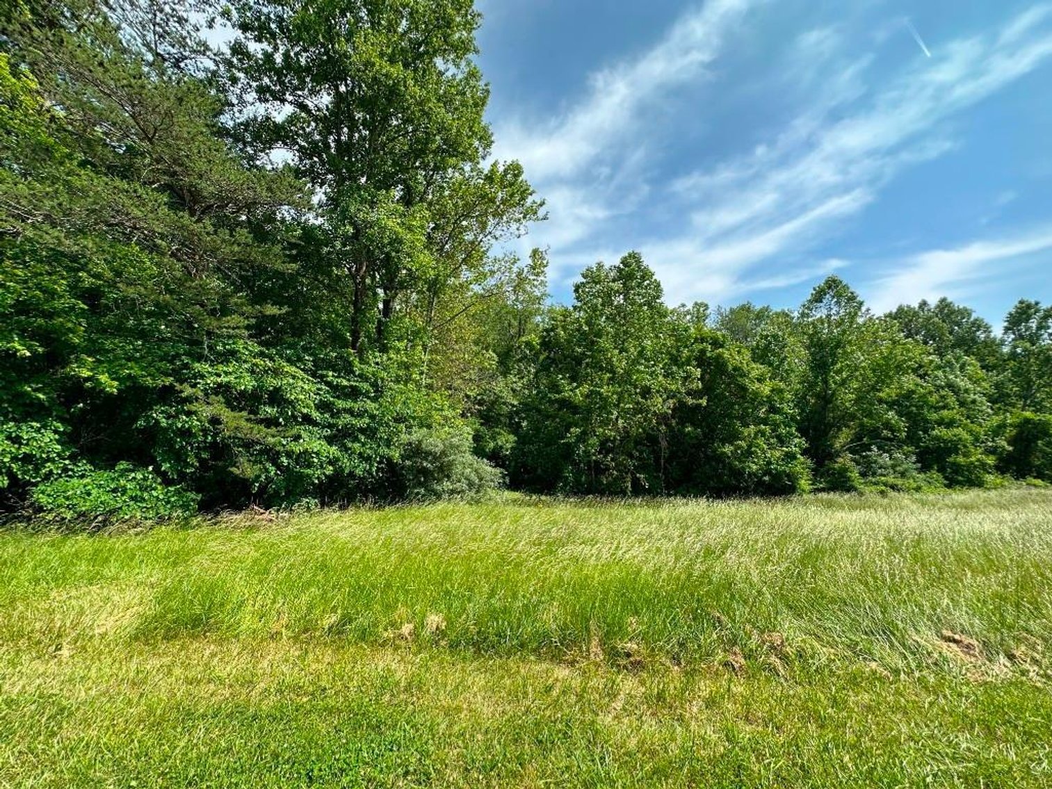 Image for Bonterra Horse Farms Real Estate  Liquidation