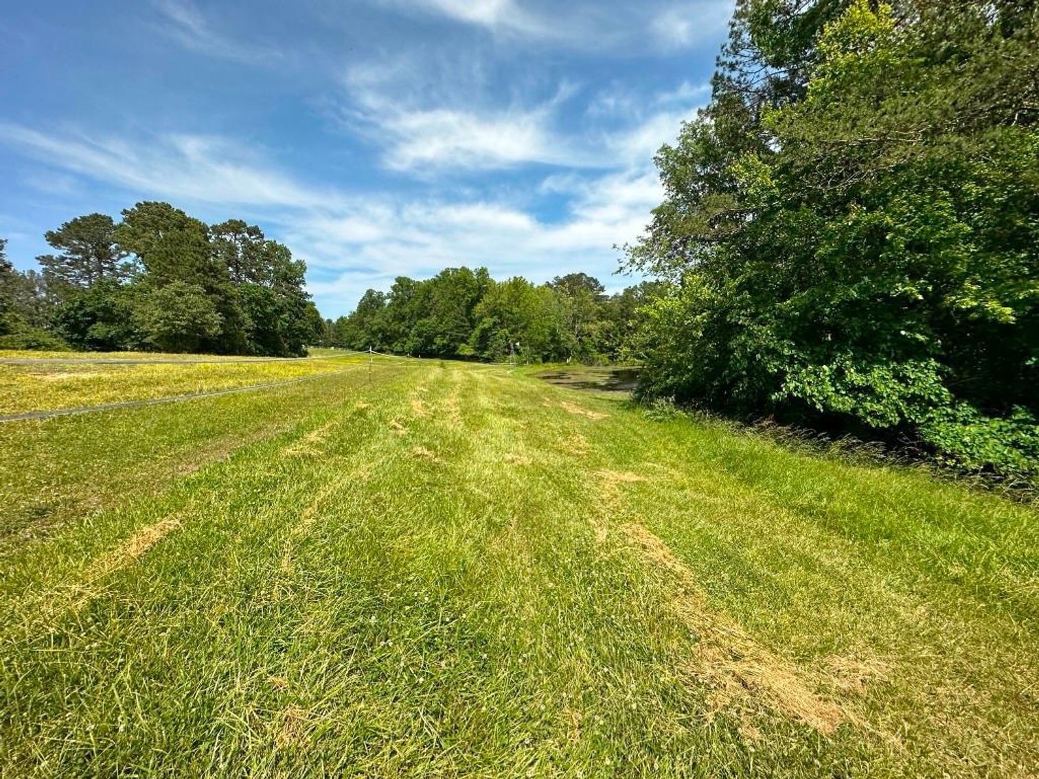 Image for Bonterra Horse Farms Real Estate  Liquidation