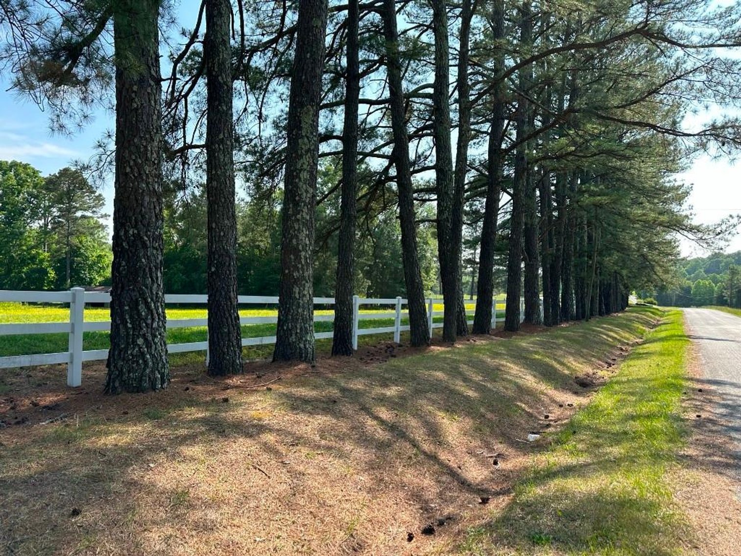 Image for Bonterra Horse Farms Real Estate  Liquidation