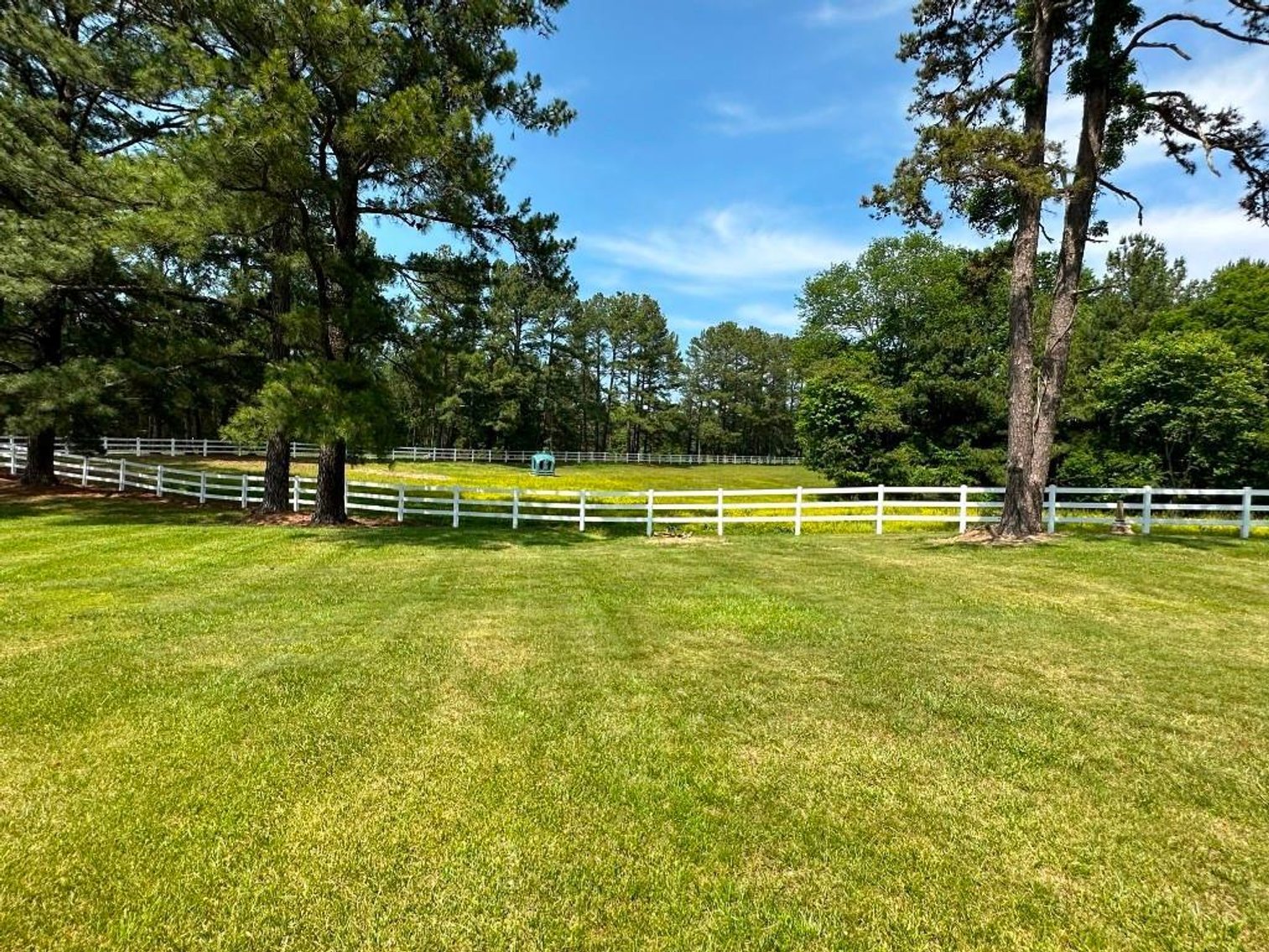 Image for Bonterra Horse Farms Real Estate  Liquidation