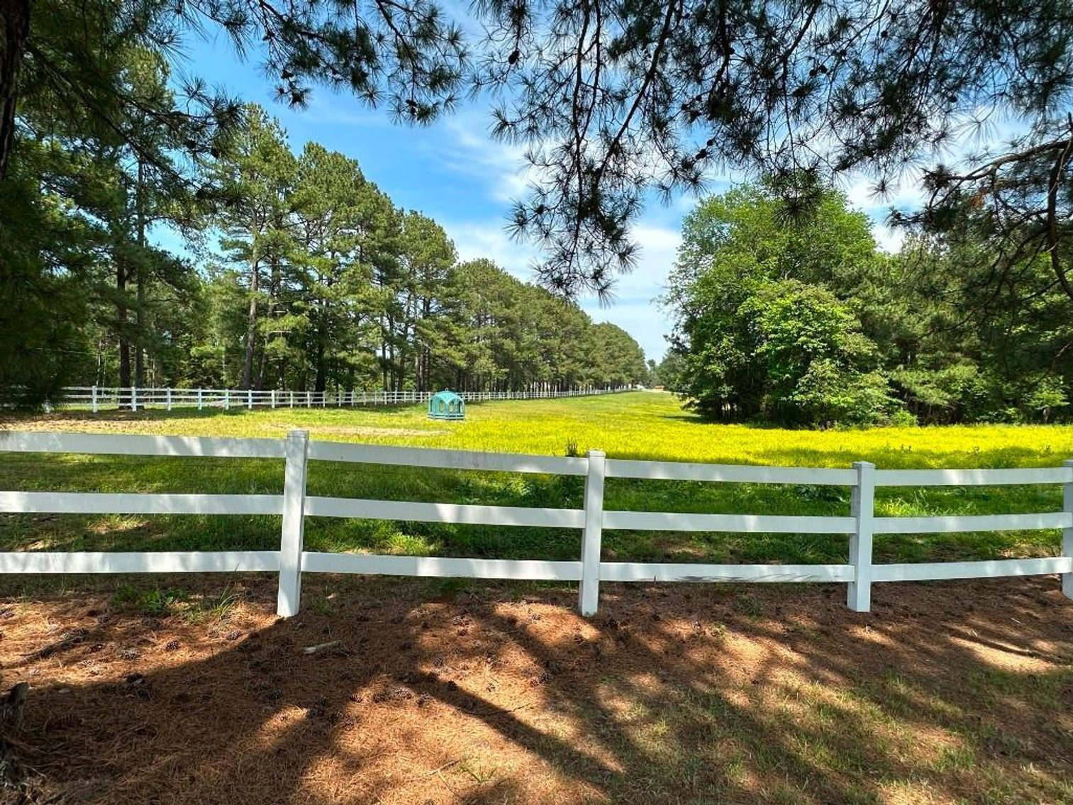 Image for Bonterra Horse Farms Real Estate  Liquidation
