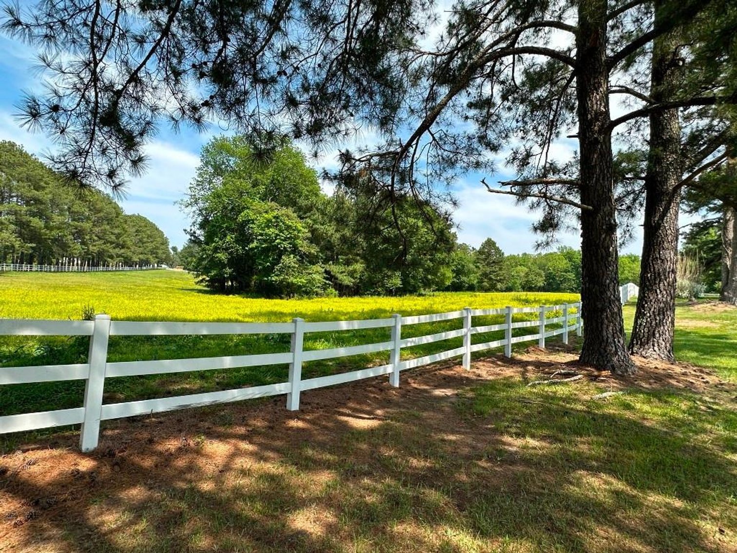 Image for Bonterra Horse Farms Real Estate  Liquidation