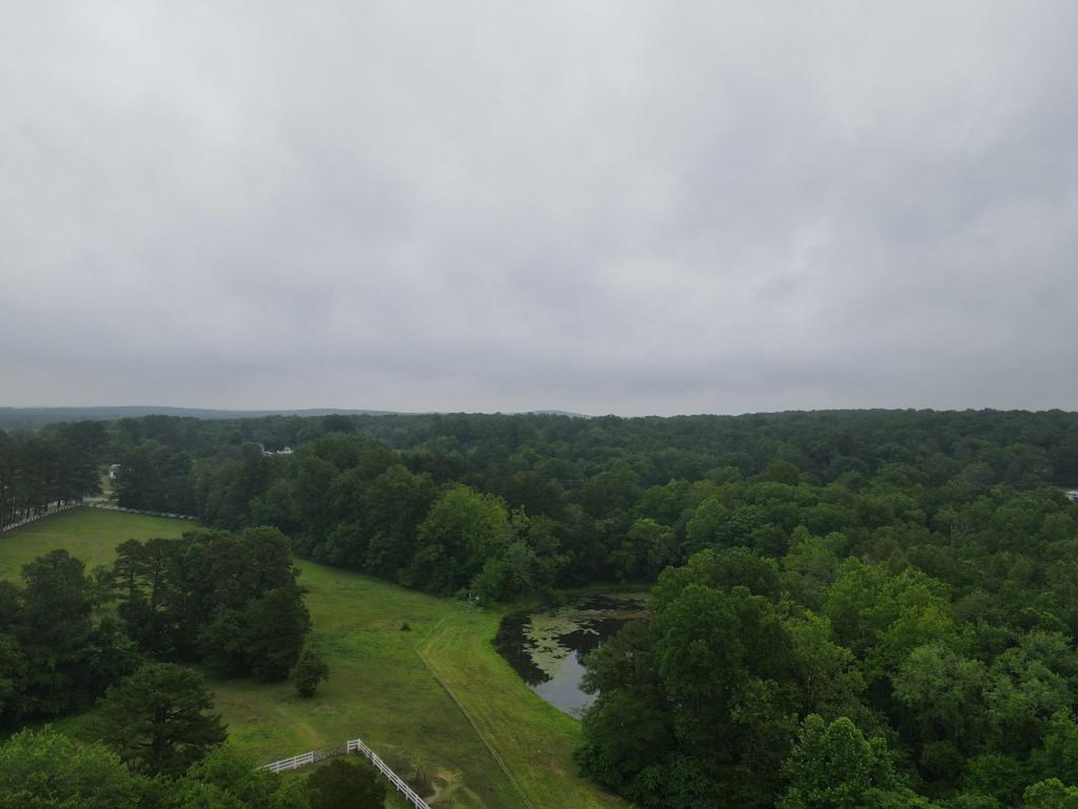 Image for Bonterra Horse Farms Real Estate  Liquidation