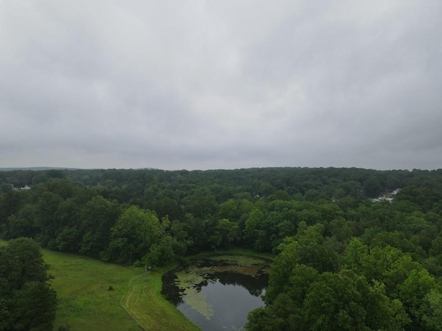 Image for Bonterra Horse Farms Real Estate  Liquidation