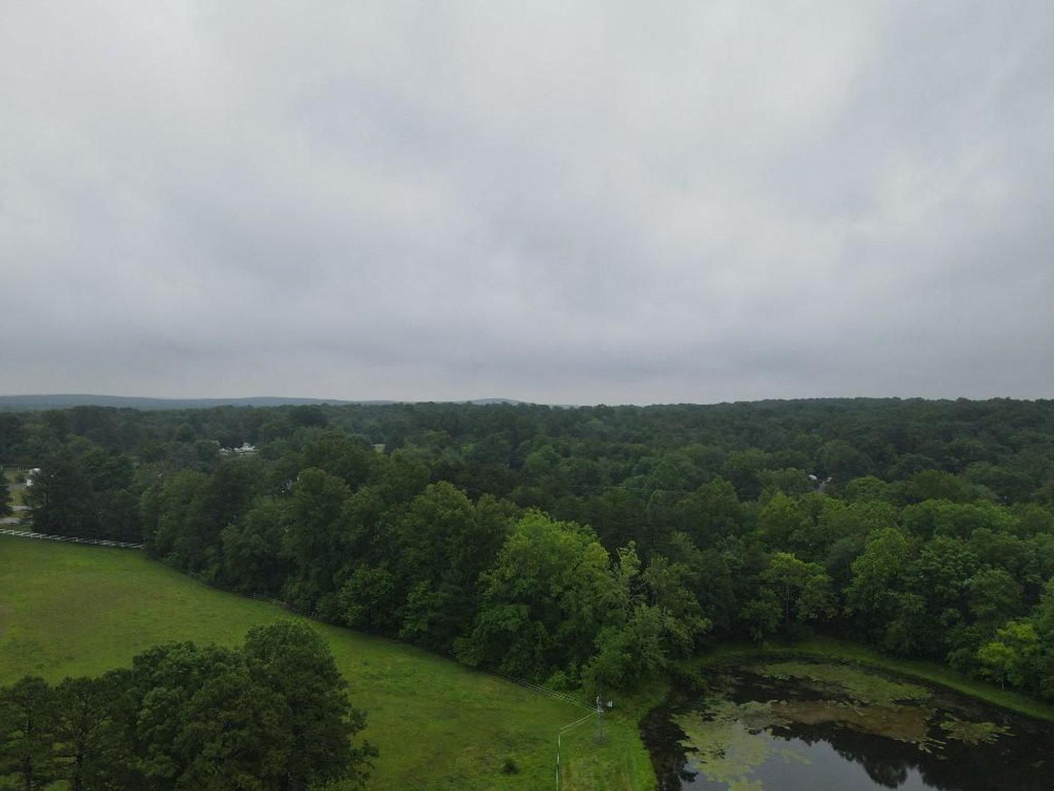 Image for Bonterra Horse Farms Real Estate  Liquidation